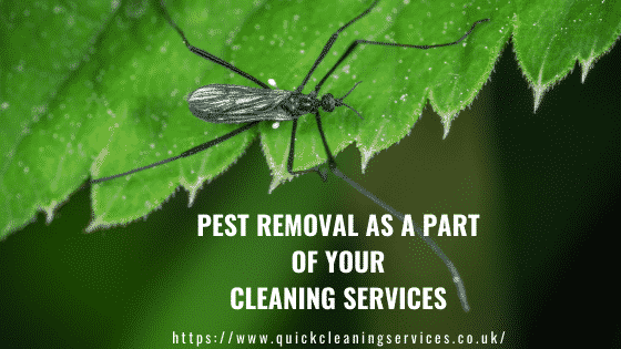 Pest Removal in your home and office
